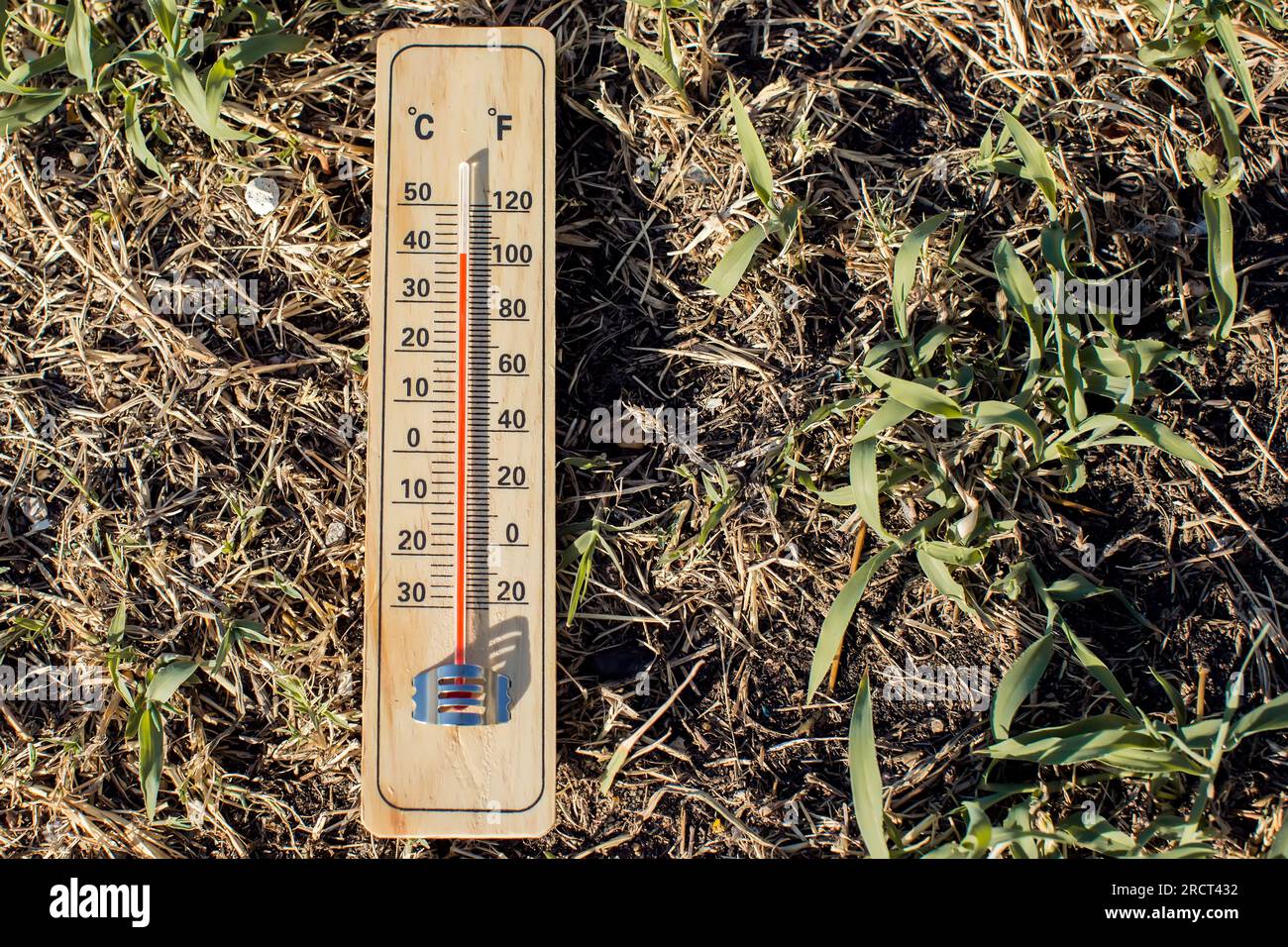 Hot weather. Thermometer lying on dry grass during heatwave. High