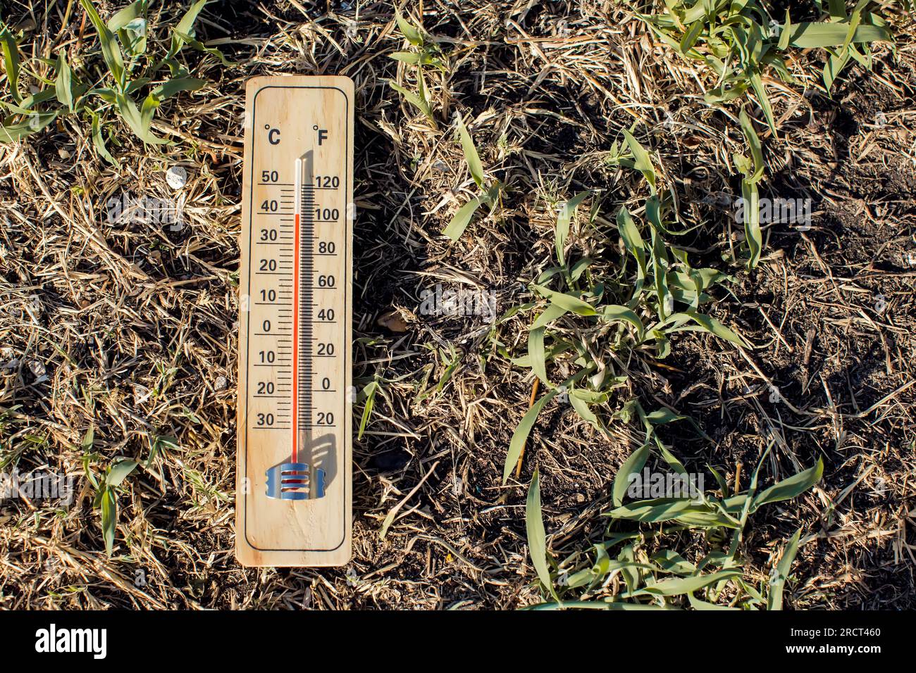 Hot weather. Thermometer lying on dry grass during heatwave. High