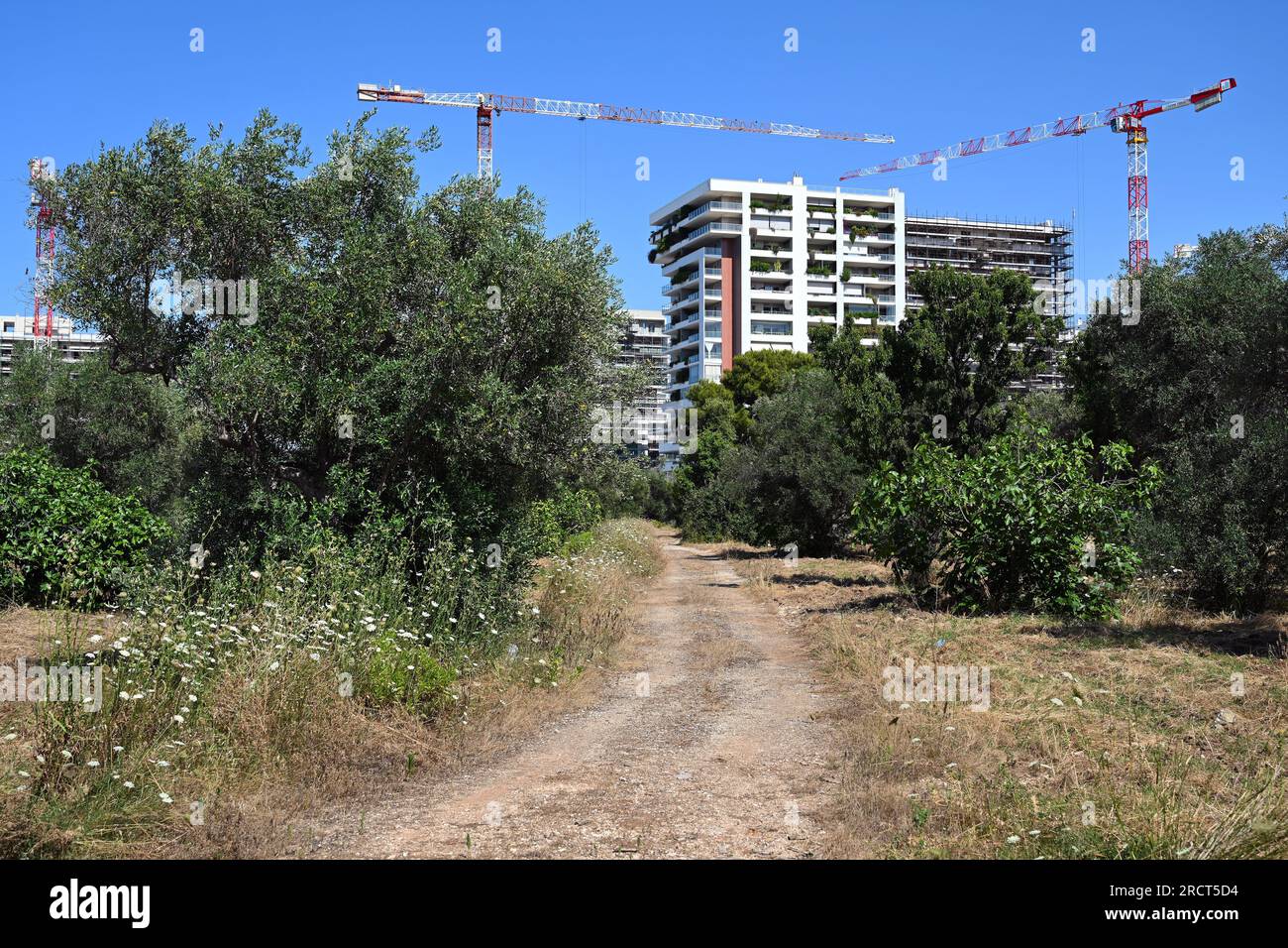 Natural landscape disappears for housing construction Stock Photo