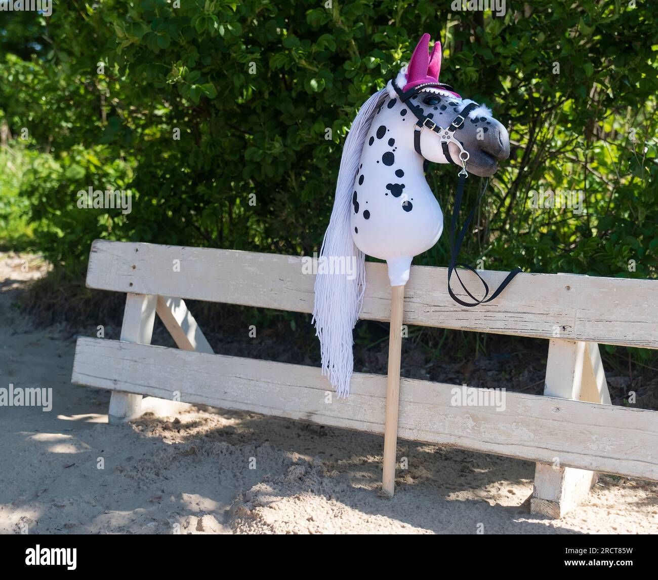 Stick horse, hobby horse. Equestrian sports. Equestrian equipment