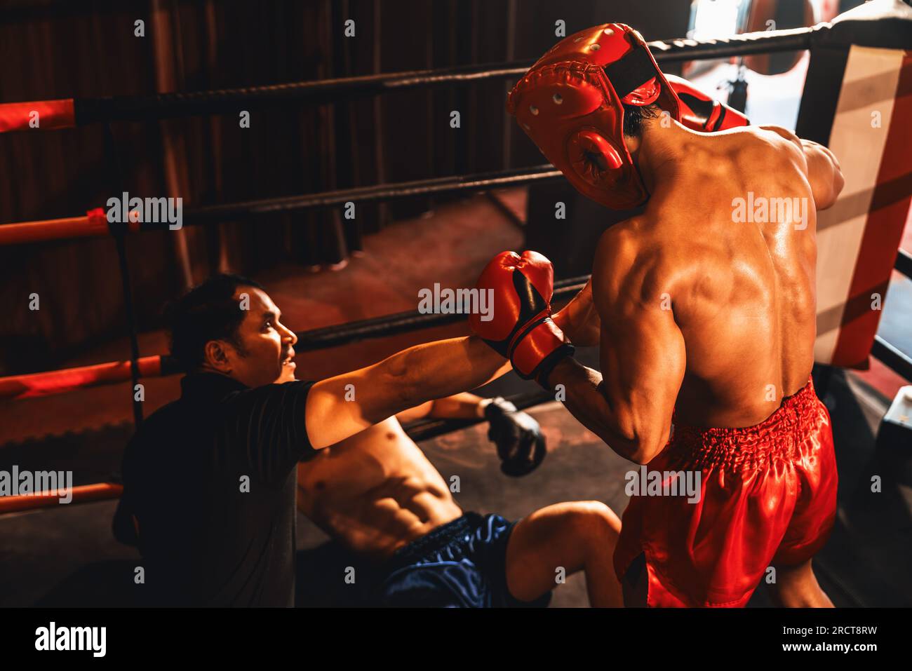 Boxing referee intervene, halting the fight to check fallen competitor. Intense and fierce