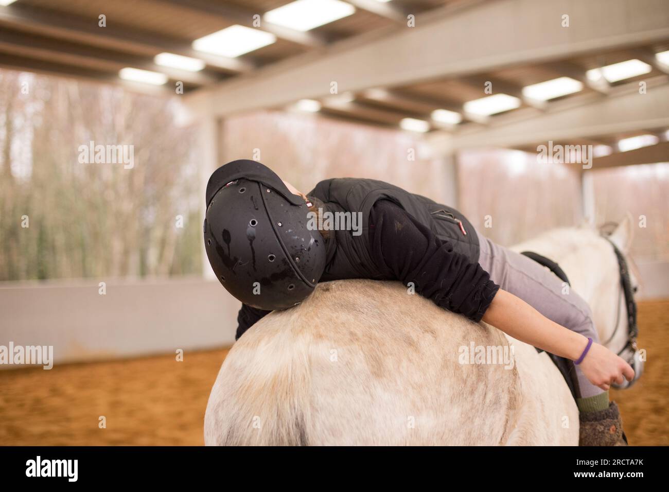 Hippotherapy. Therapeutic wellness, occupational therapy midadult