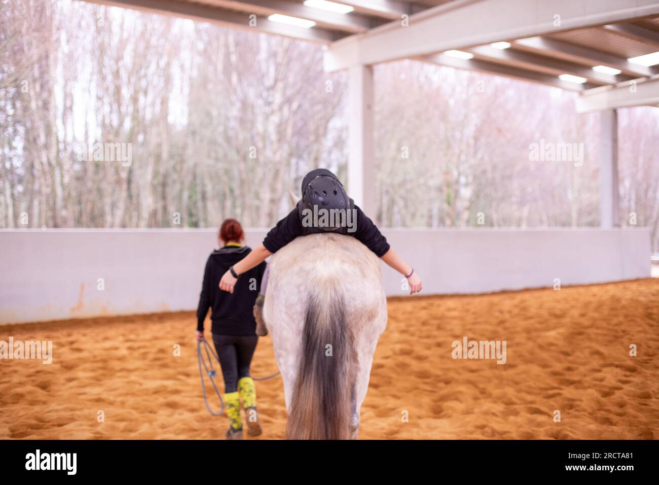 Hippotherapy. Therapeutic wellness, occupational therapy mid-adult ...