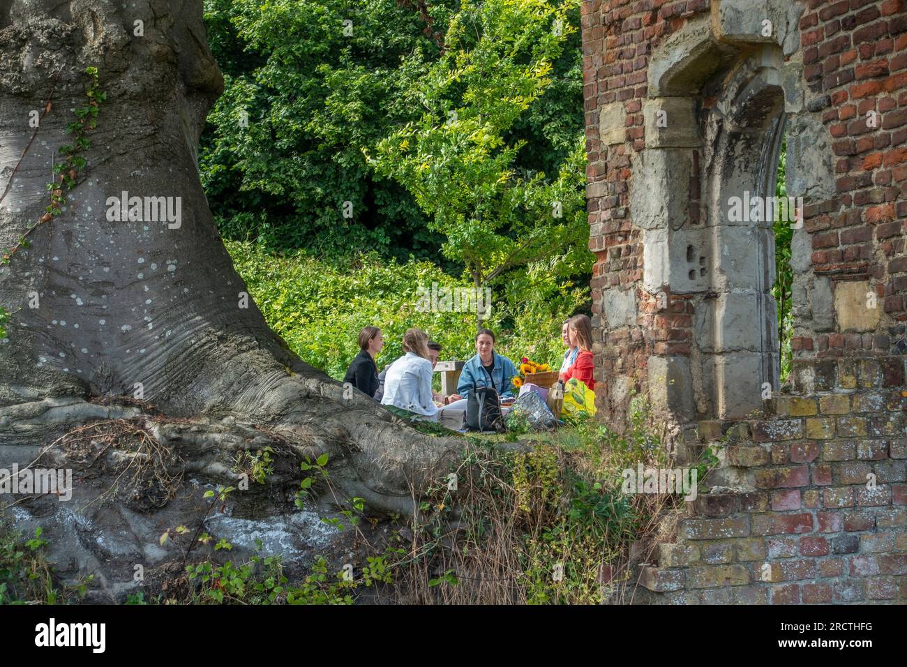 Group,of,Friends,enjoying,Picnic,in,Garden,Large Beech Tree,Ruins,Summer Stock Photo