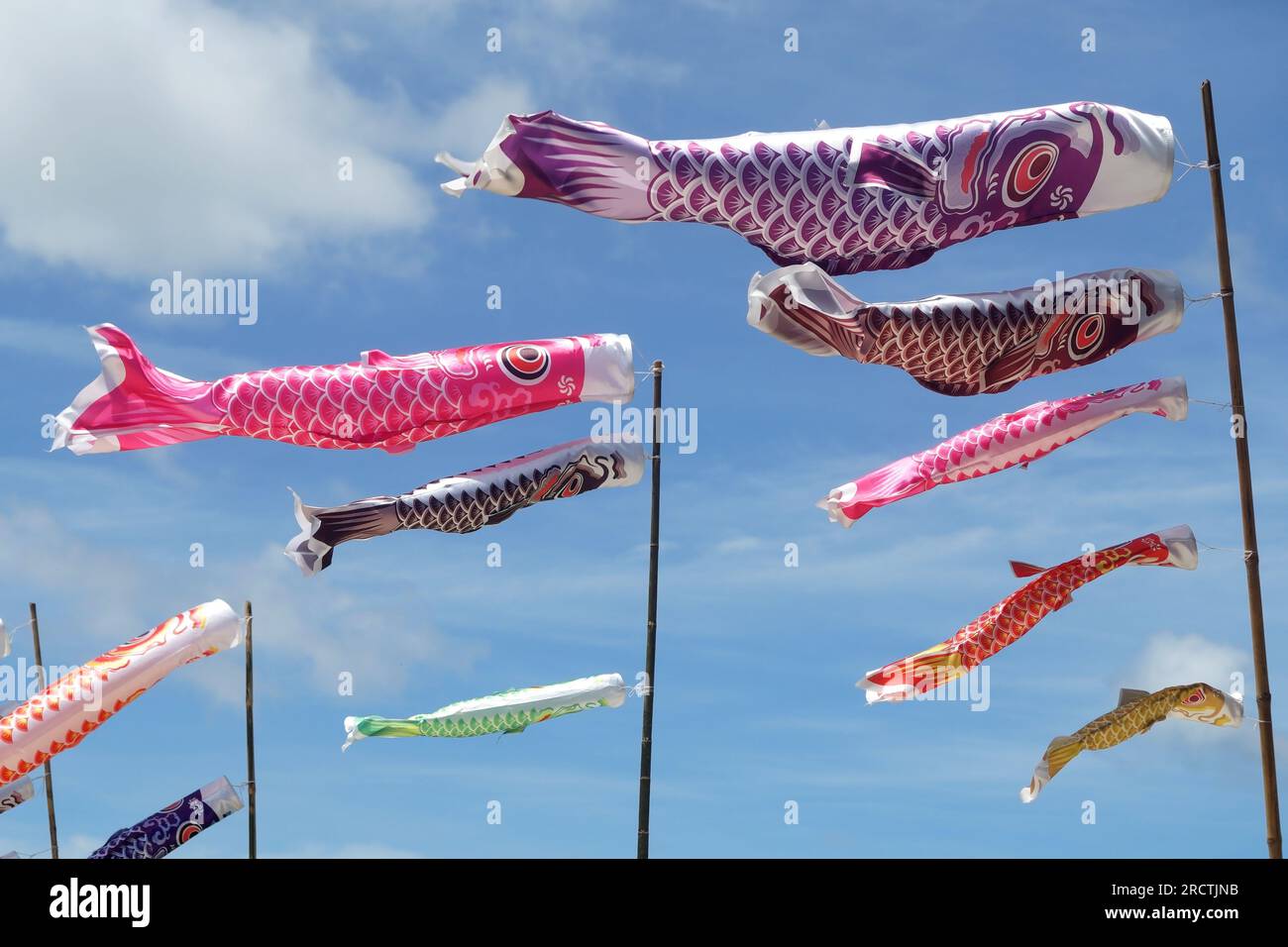 carp streamer, japanese koi carp flag with beautiful sky background