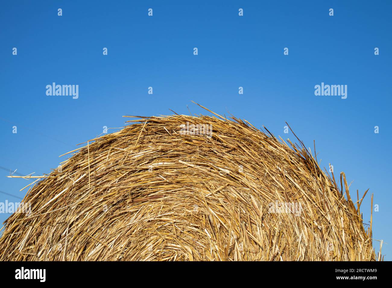 Straw bale and blue sky Stock Photo - Alamy