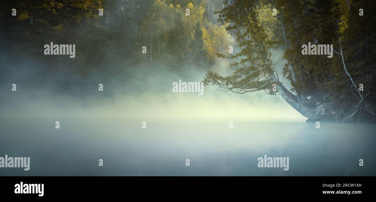 Misty Morning on the Hunt Lake trail. Manitoba Canada. Stock Photo