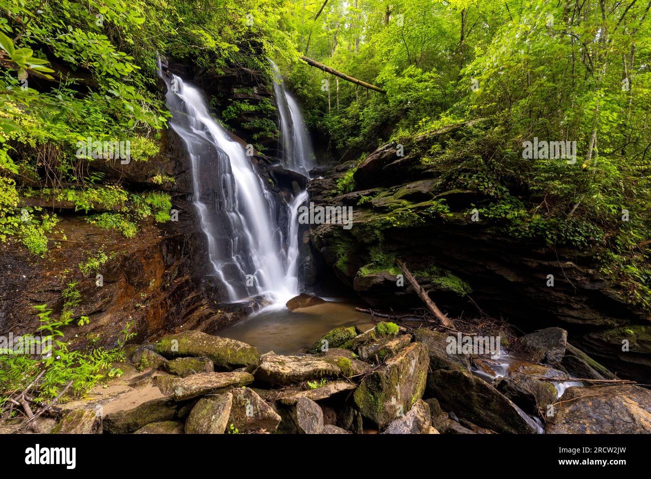 Reece Place Falls - Headwaters State Forest, near Brevard, North Carolina, USA Stock Photo