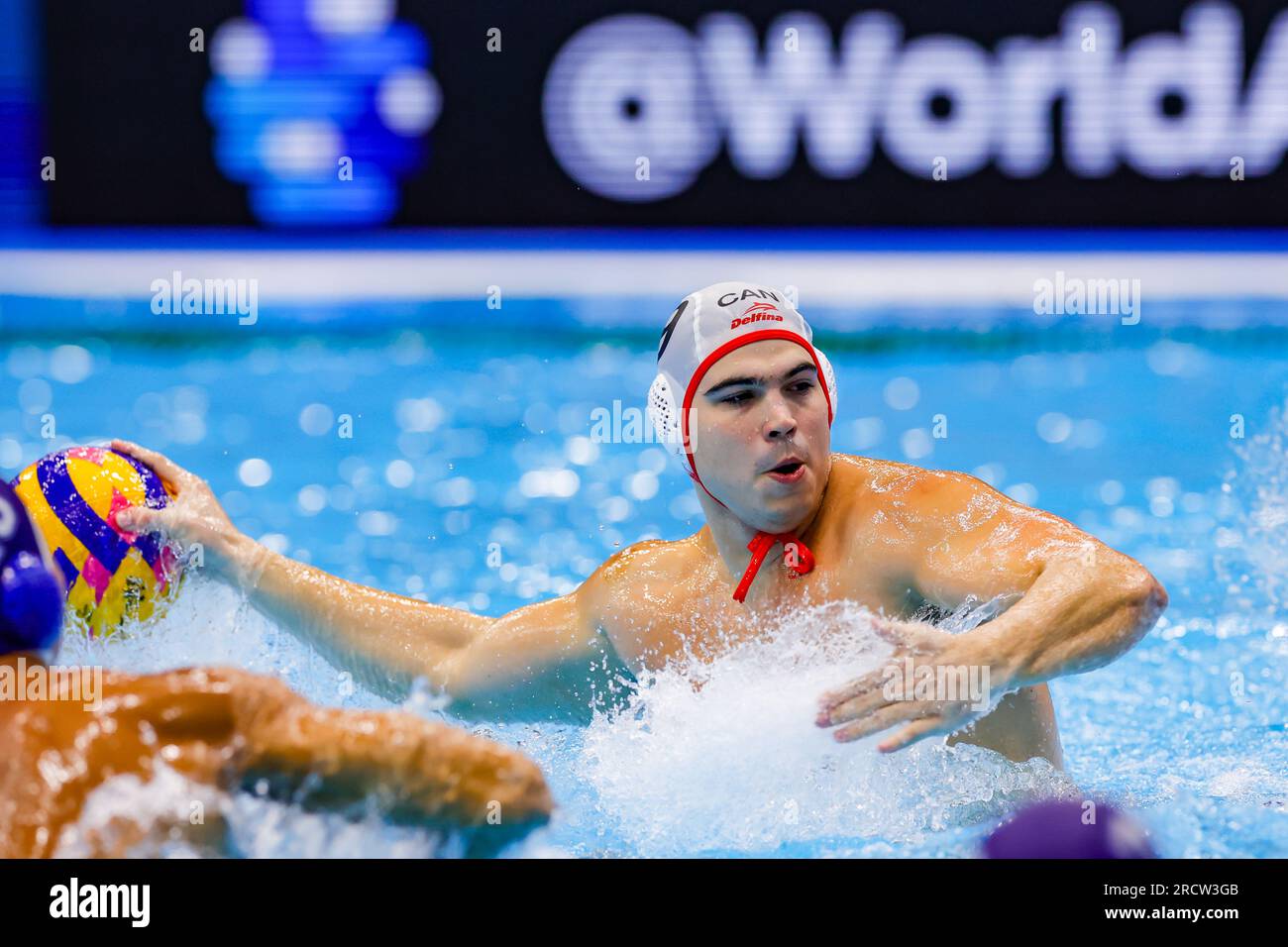 Jinpeng zhang hi-res stock photography and images - Alamy