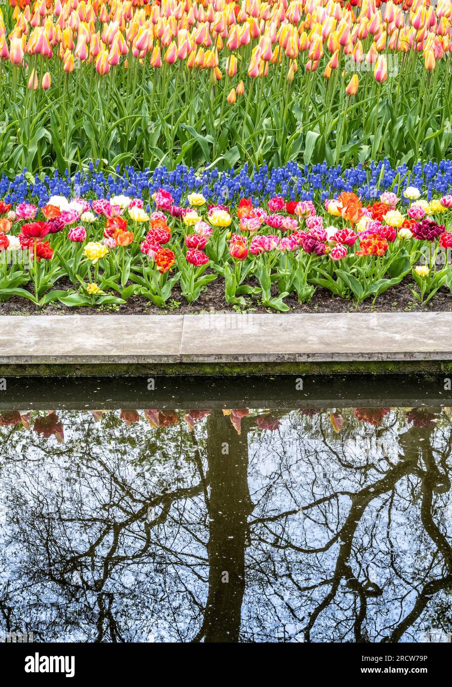 reflection pool and tulips at the Keukenhof Gardens in Holland Stock ...