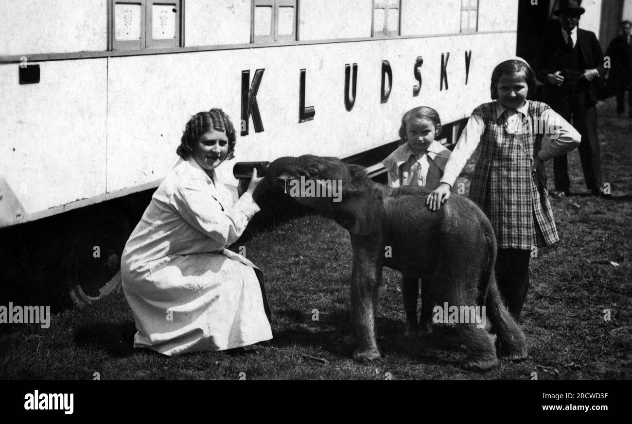 circus, Circus Kludsky, feeding of baby elephant, circa 1930, ADDITIONAL-RIGHTS-CLEARANCE-INFO-NOT-AVAILABLE Stock Photo