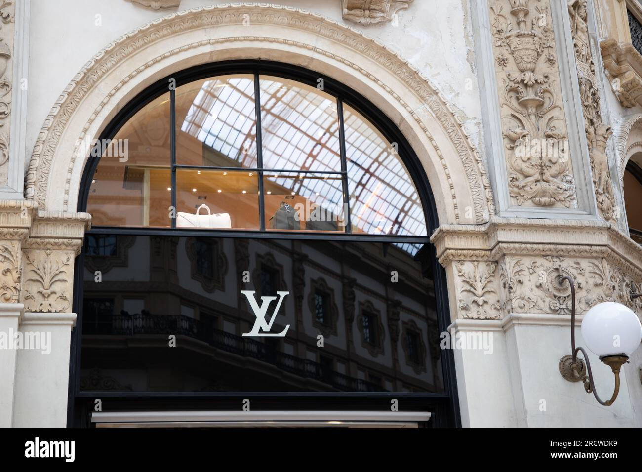 Vincent van Gogh Bag ( Louis Vuitton French Fashion House Paris