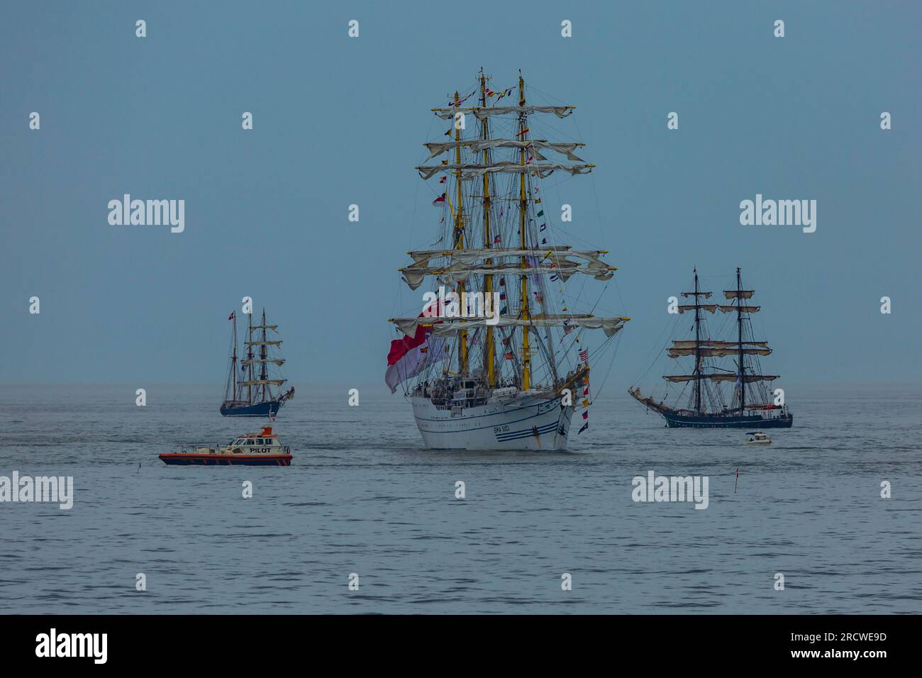 Ts royalist tall ships race hi-res stock photography and images - Alamy