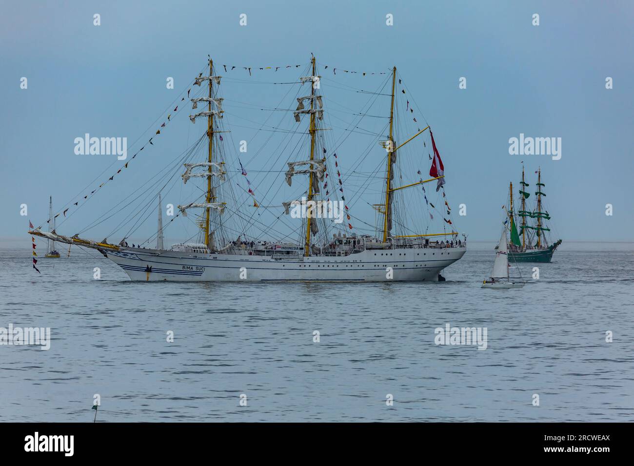 Ts royalist tall ships race hi-res stock photography and images - Alamy