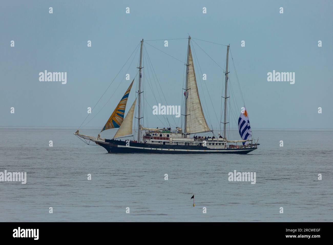 Ts royalist tall ships race hi-res stock photography and images - Alamy