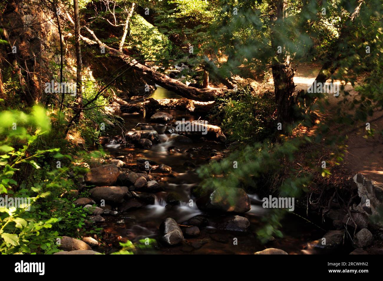 Long Exposure Photo of the River in the forest of Kakopetria Village on ...