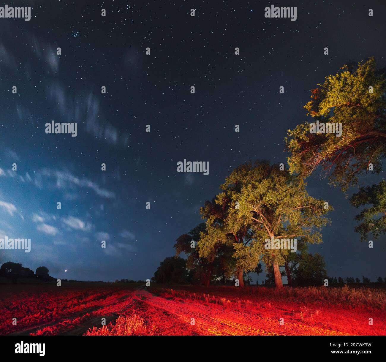 Milky Way Galaxy In Night Starry Sky Above Tree In Summer Forest ...