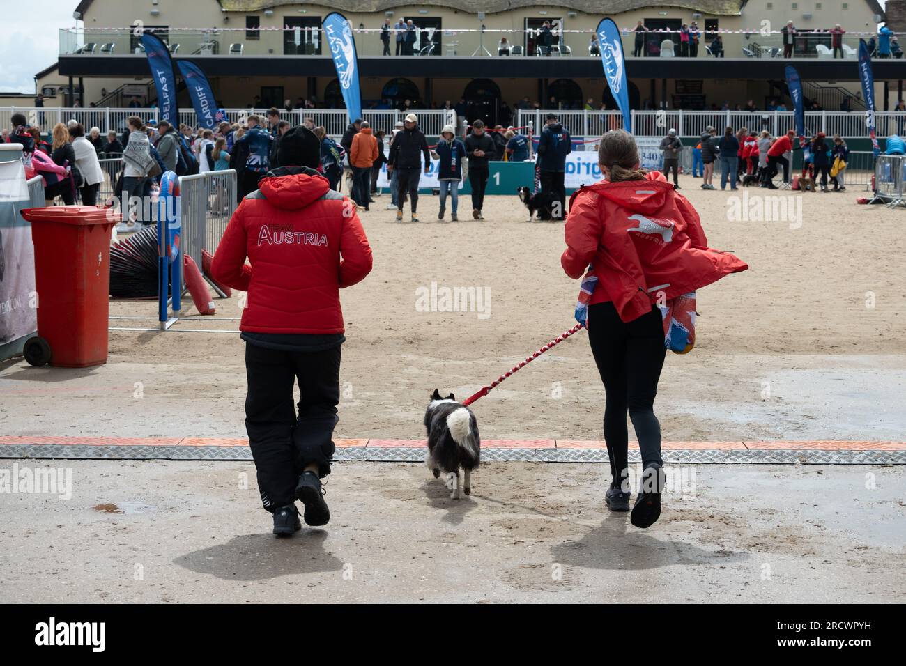 The Junior Open Agility World Championships 2023. Stock Photo