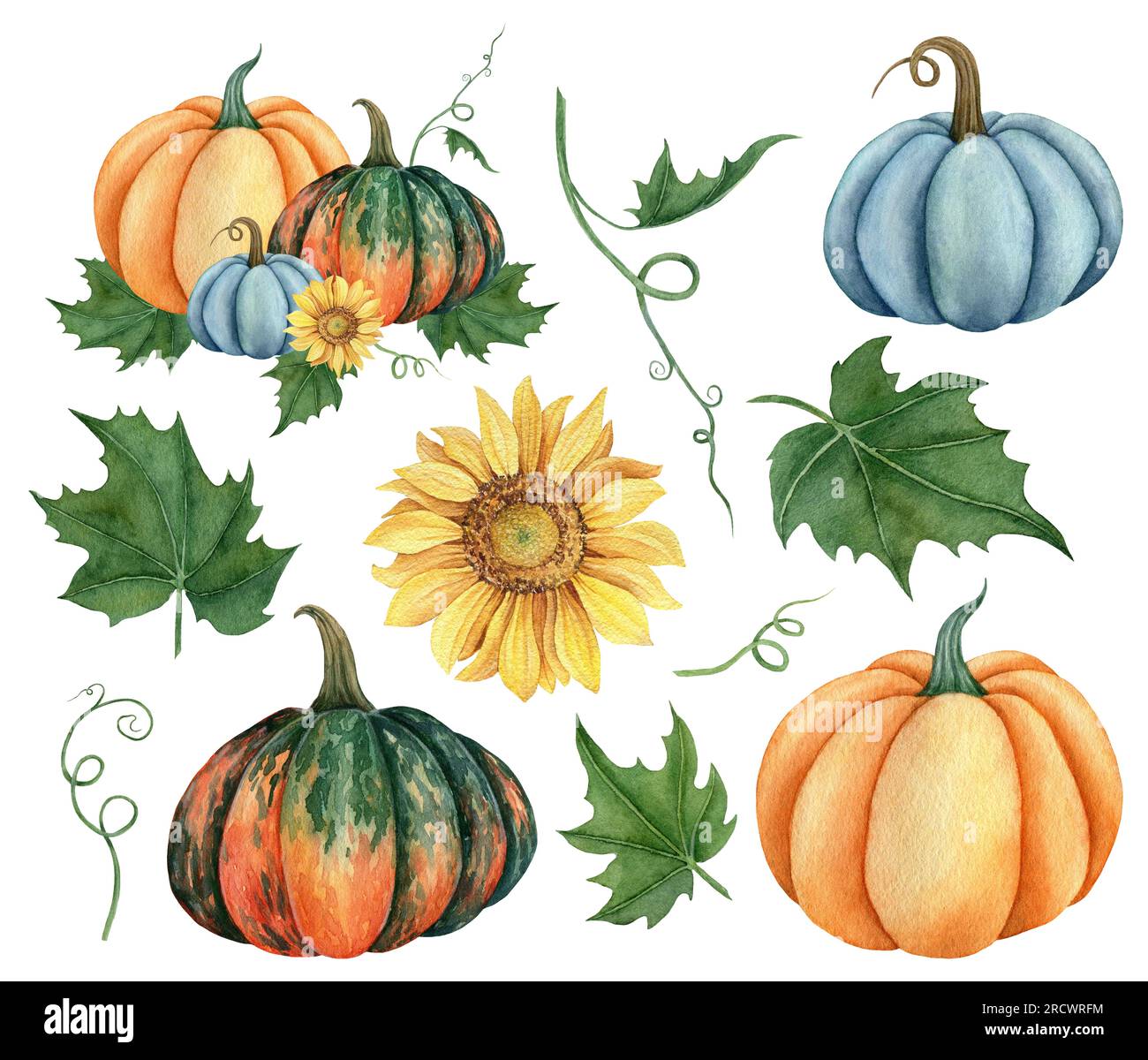 Watercolor set of pumpkins orange, blue and green colors with leaves ...