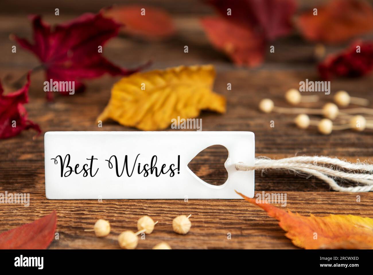 Autumn or Fall Background with Label with English Text Best Wishes, Colorful Autumn Leaves, Seasonal Background with Quote Stock Photo