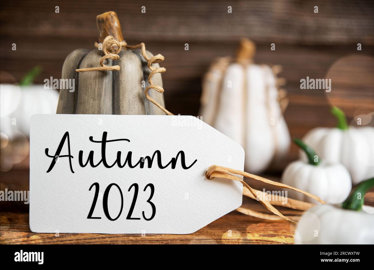 Autumn Decoration With Pumpkins, Rustic fall Decoration With Label Text Autumn 2023 Stock Photo