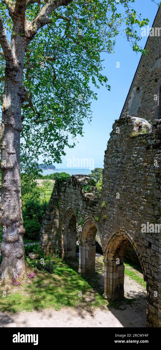 part of the ruins of the former abbey Notre-Dame de Beauporte in the village of Paimpol in Brittany, France Stock Photo