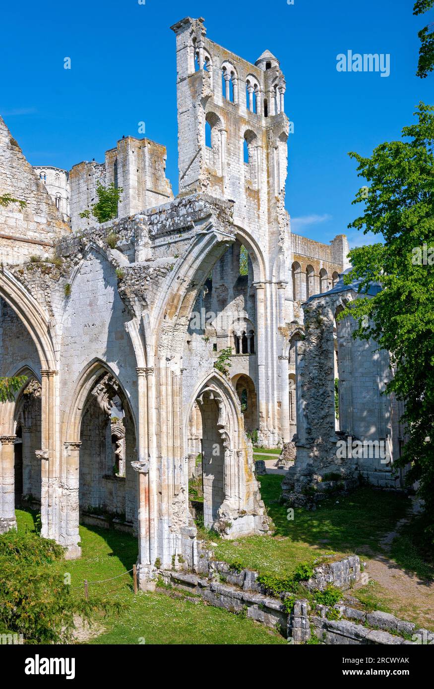 part of the ruins of the former Benedictine abbey Jumieges  in the Normandy, France Stock Photo