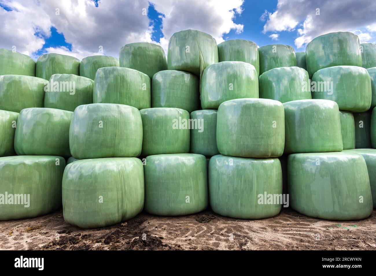 Stacked straw bales covered in green weatherproof plastic - Saint-Michel-en-Brenne, Indre (36), France. Stock Photo