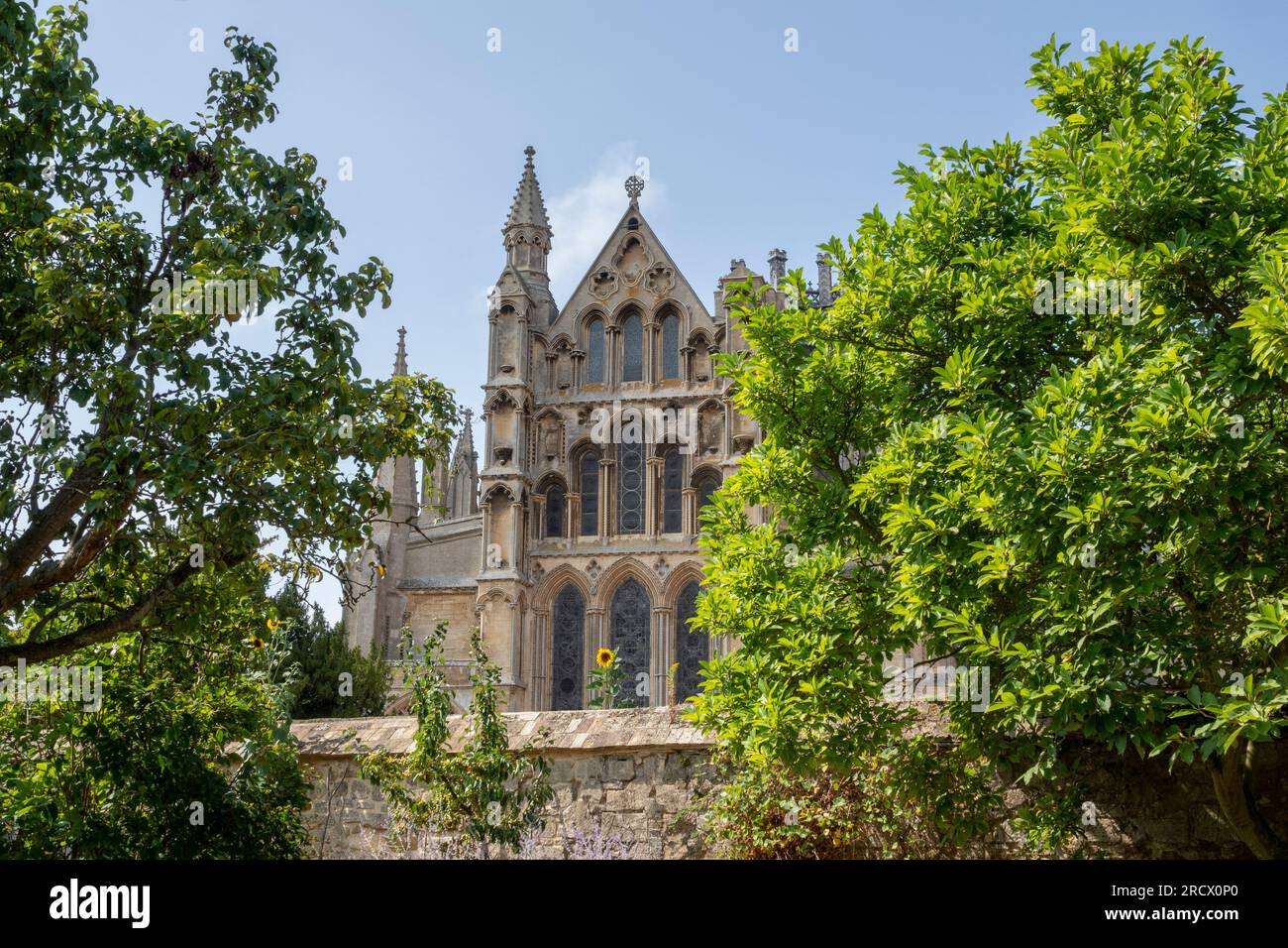 Ely Cathedral with trees in the foreground Stock Photo - Alamy