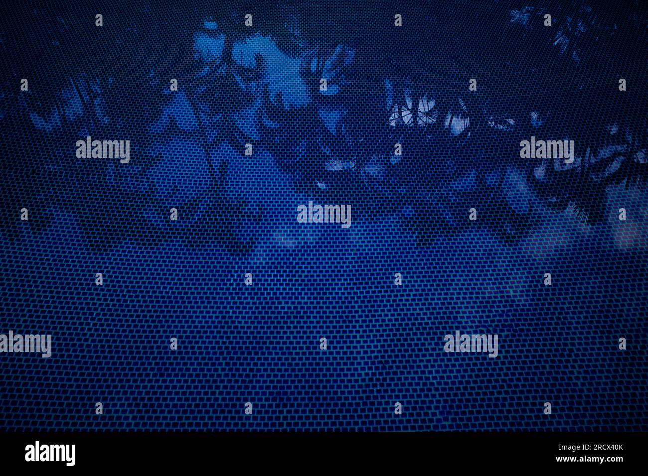 Palm tree reflections in blue tiled swimming pool Stock Photo - Alamy
