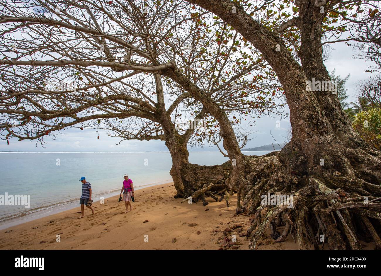 People strolling on Anini Beach, Kauai Stock Photo