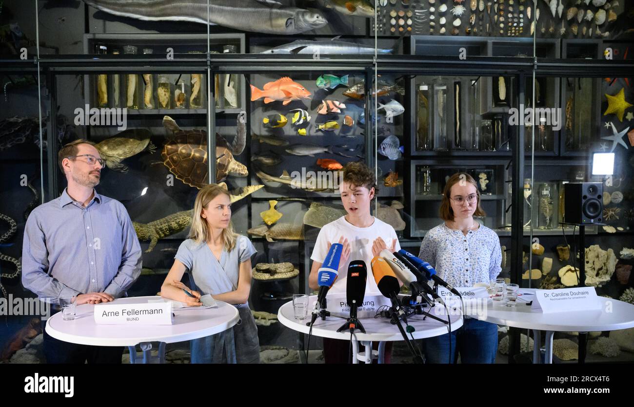 17 July 2023, Berlin: Caroline Douhaire (l-r), environmental lawyer, Arne Fellermann, head of the climate protection department at BUND, Pit Terjung, spokesperson for Fridays for Future, and Eva Städele, press spokesperson for Fridays for Future, give their views at a press conference at the Museum of Natural History on a possible emergency program for the transport sector to comply with the binding legal requirements to meet national emissions targets under the German Federal Climate Protection Act (KSG). According to climate activists, the Ministry of Construction and the Ministry of Transpo Stock Photo