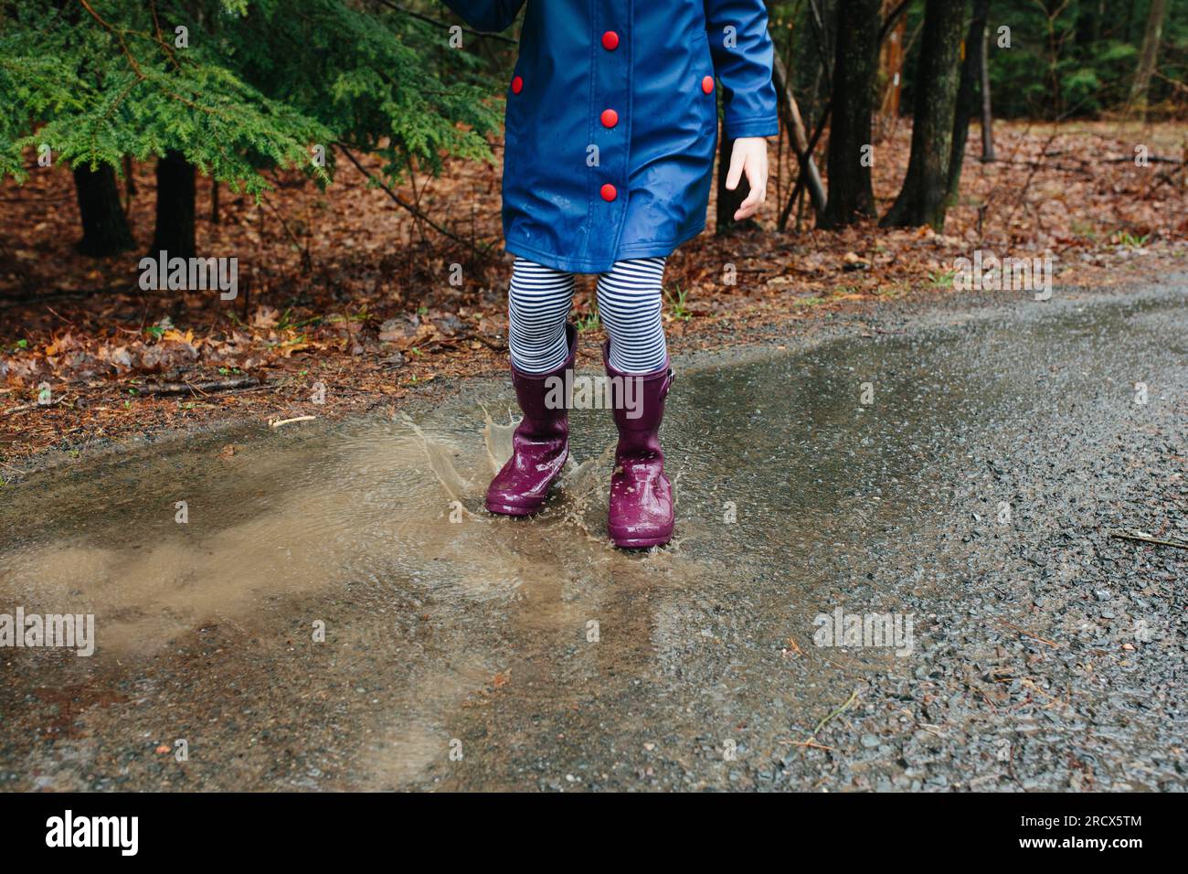 Young child's boots splashing in mud puddle. Stock Photo