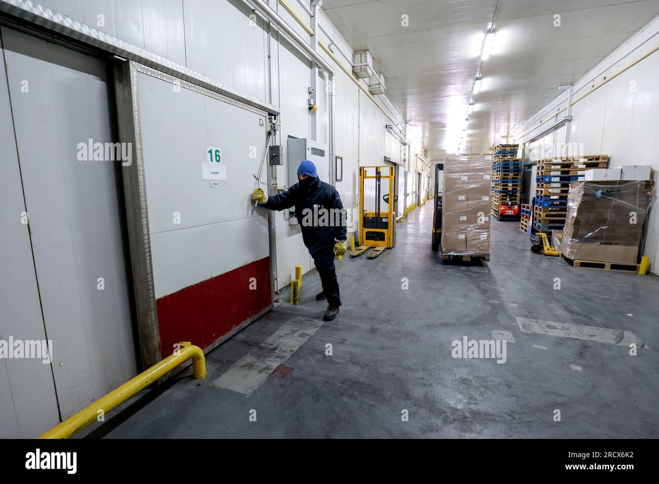 https://c8.alamy.com/comp/2RCX6K2/in-the-warm-summer-months-workers-in-cold-stores-change-the-external-35-degrees-celsius-to-20-degrees-celsius-in-the-chambers-in-zagreb-croatia-on-july-14-2023-the-employees-of-the-zagreb-markets-the-department-of-the-wholesale-market-and-the-cold-stores-as-part-of-the-zagreb-holding-in-zitnjak-enter-the-cold-stores-in-several-layers-of-clothing-under-a-special-work-suit-for-low-temperatures-a-hat-and-gloves-are-mandatory-and-special-warm-work-shoes-go-on-the-feet-every-new-employee-has-at-least-6-months-to-get-used-to-this-regime-of-temperature-changes-after-spending-45-minutes-in-2RCX6K2.jpg