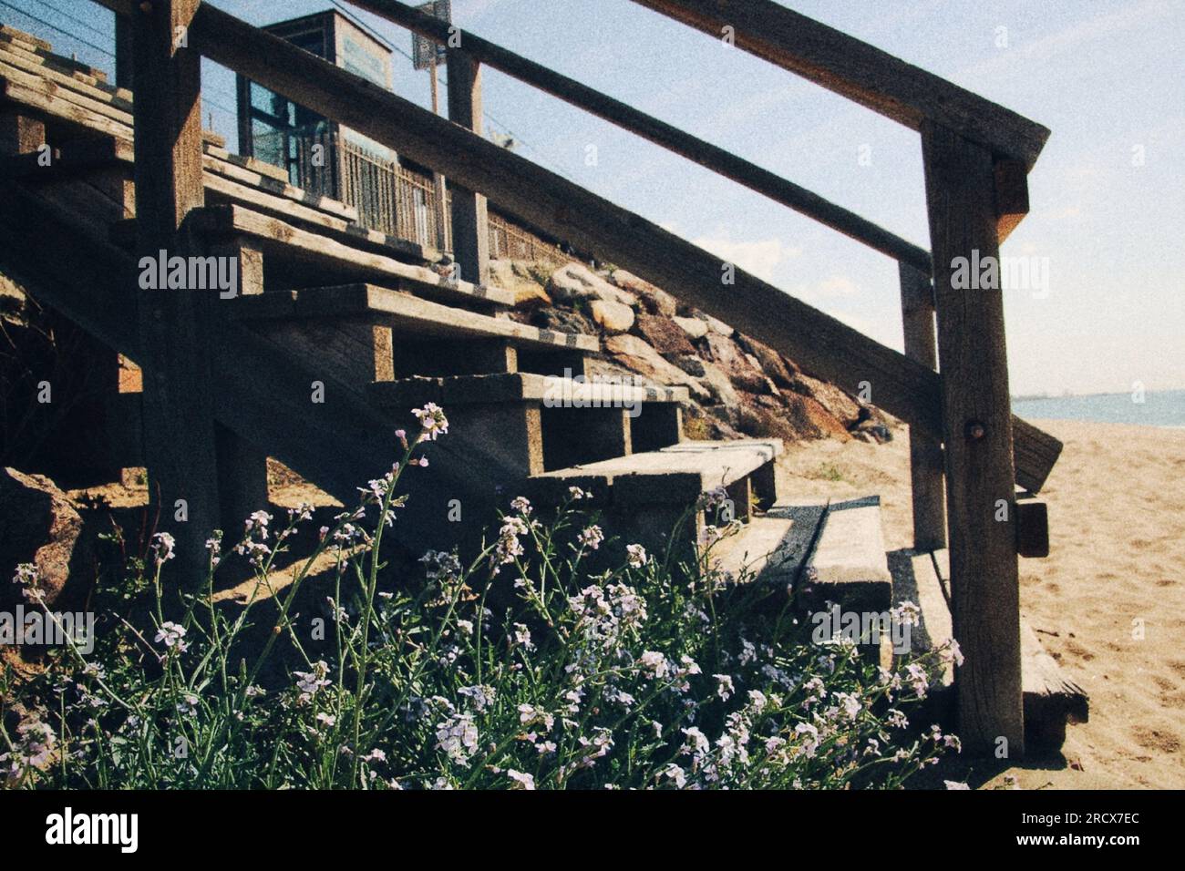 Stairs with flowers on the beach Stock Photo - Alamy