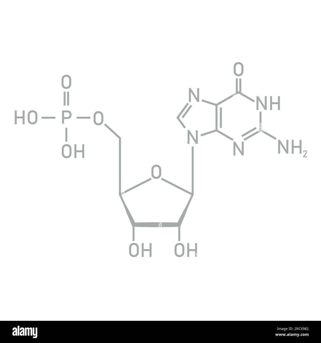Chemical structure of DNA nucleotide. Three parts of a nucleotide. Phosphate group, pentose sugar and nitrogenous base. Nucleic acids Stock Vector