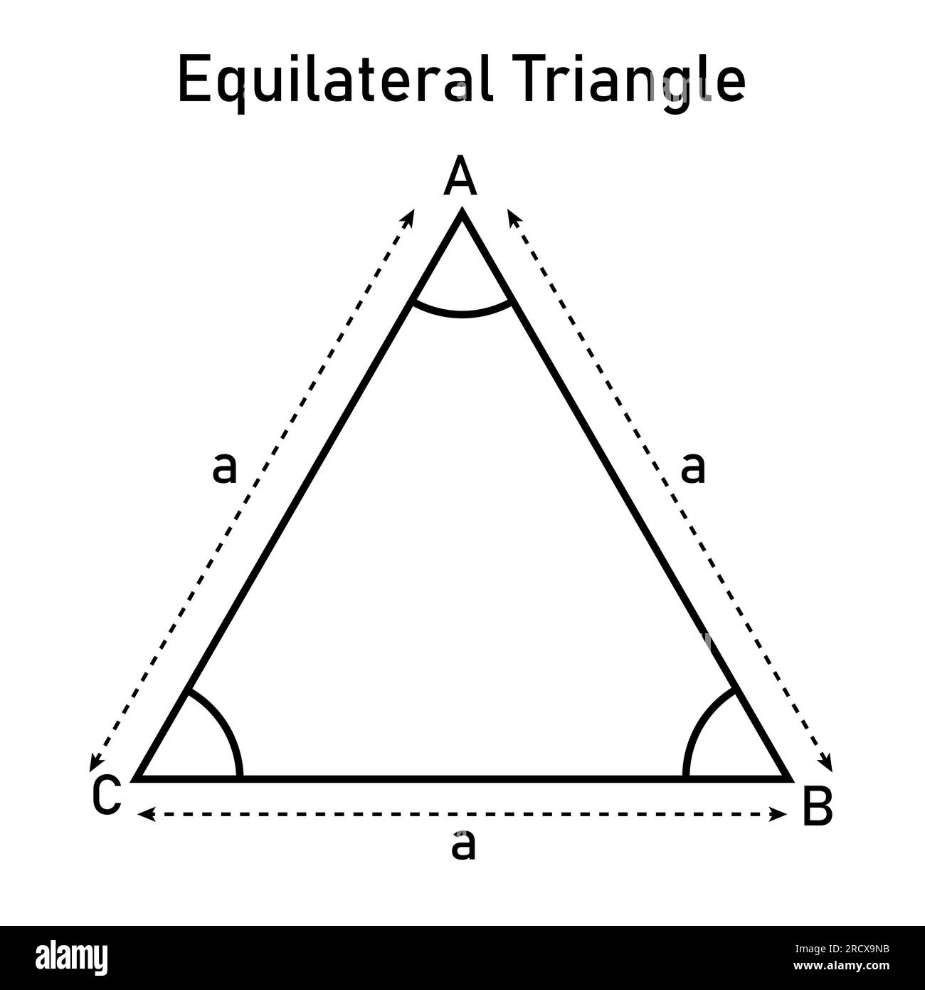 Properties of equilateral triangle in mathematics. Three sides with same length. Geometric shape. Vector illustration isolated on white background. Stock Vector