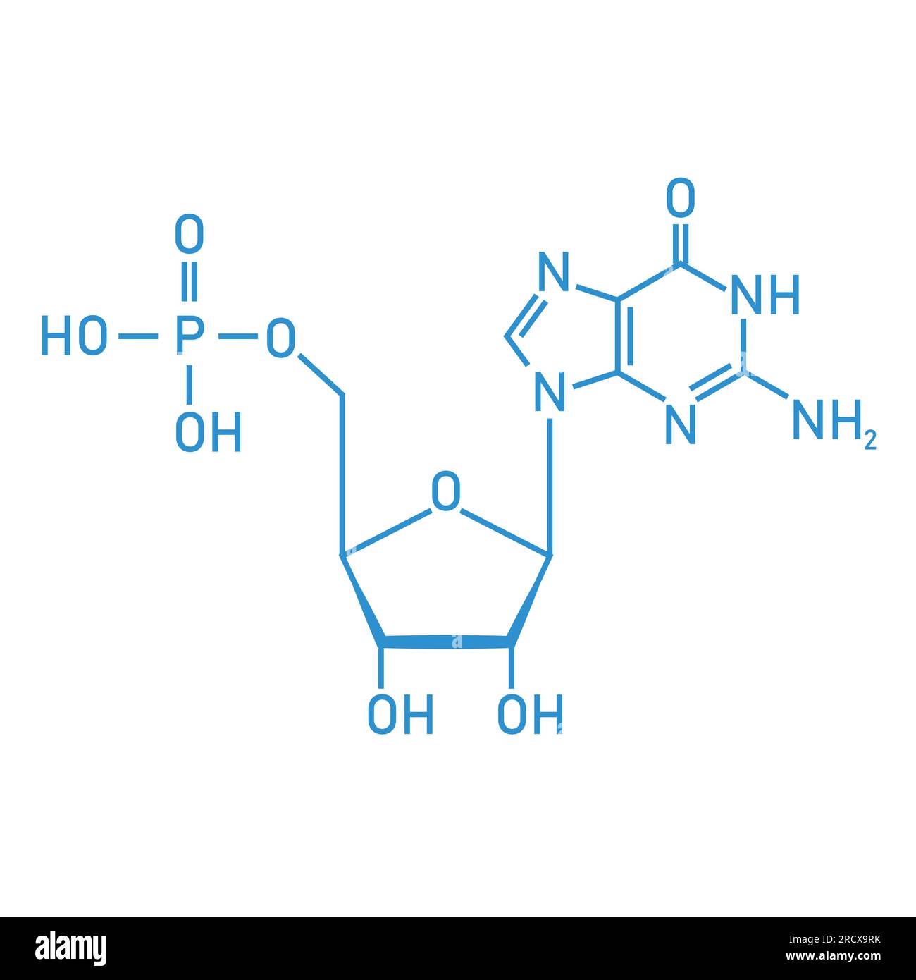 Chemical structure of DNA nucleotide. Three parts of a nucleotide. Phosphate group, pentose sugar and nitrogenous base. Nucleic acids. Stock Vector