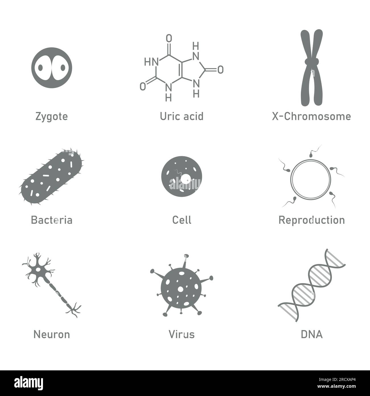 Biology science icon. Uric acid, bacteria, cell, neuron, virus, DNA