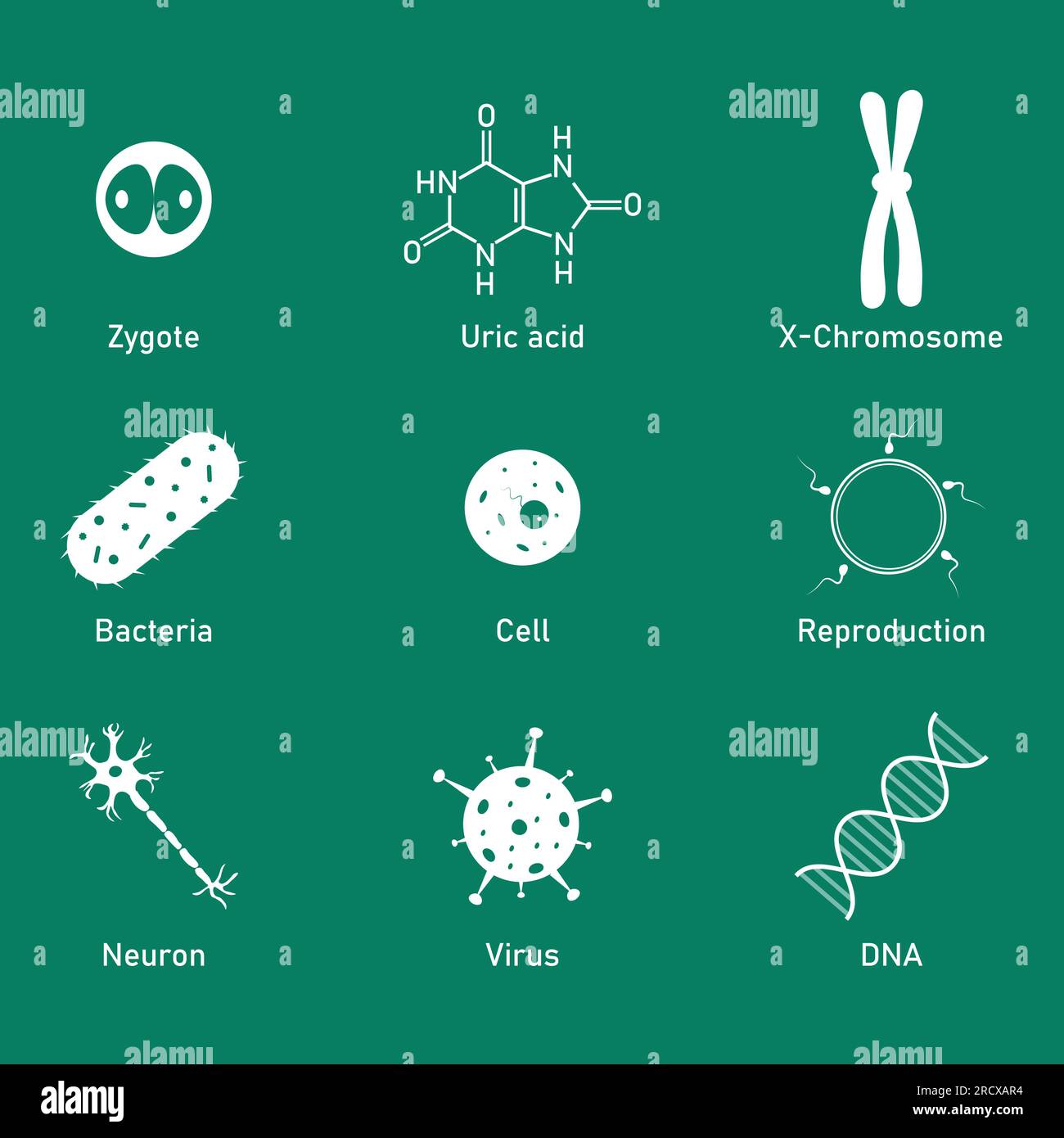 Biology science icon. Uric acid, bacteria, cell, neuron, virus, DNA