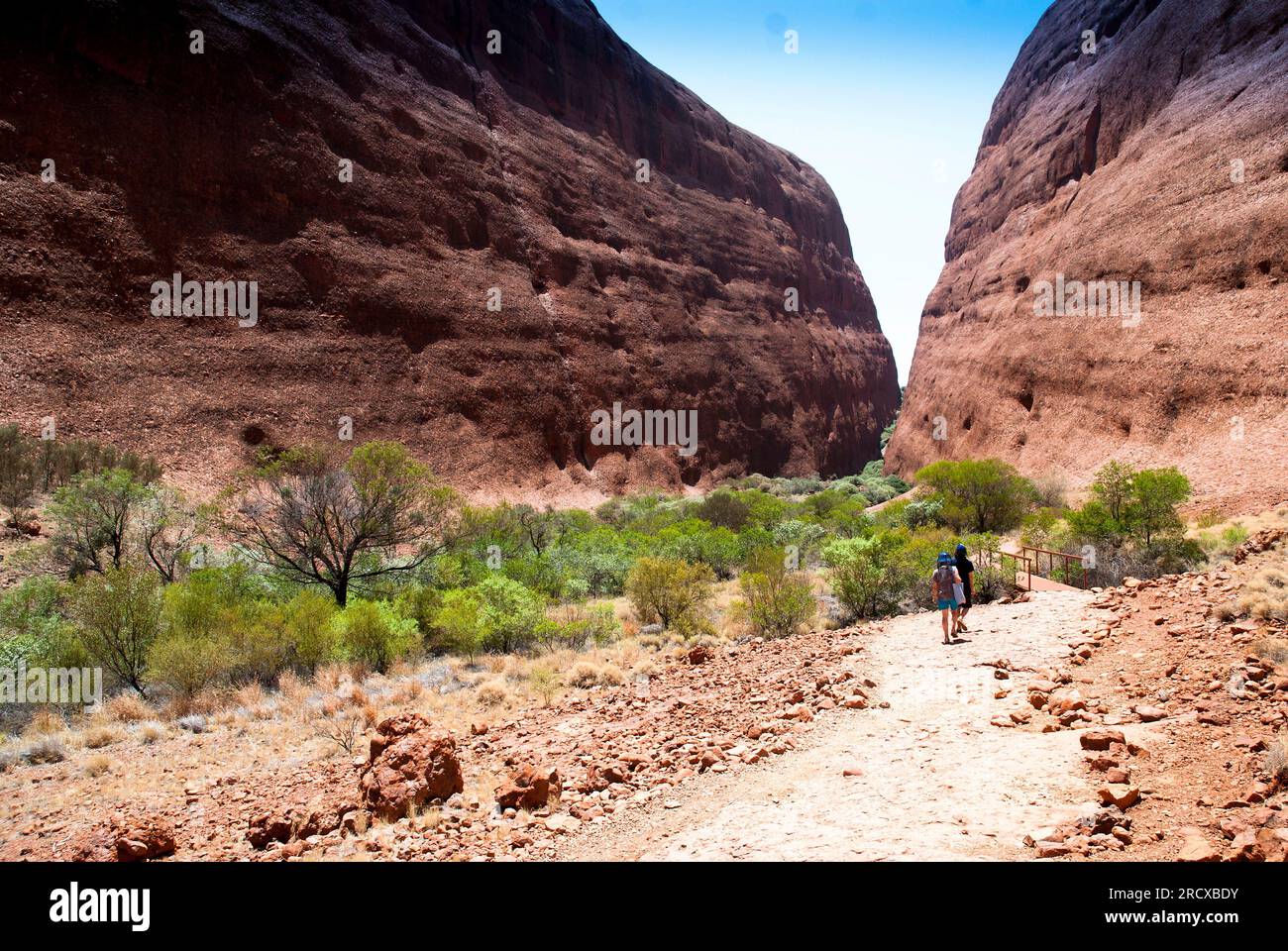 The Desert, Northern Territories, Australia Stock Photo - Alamy