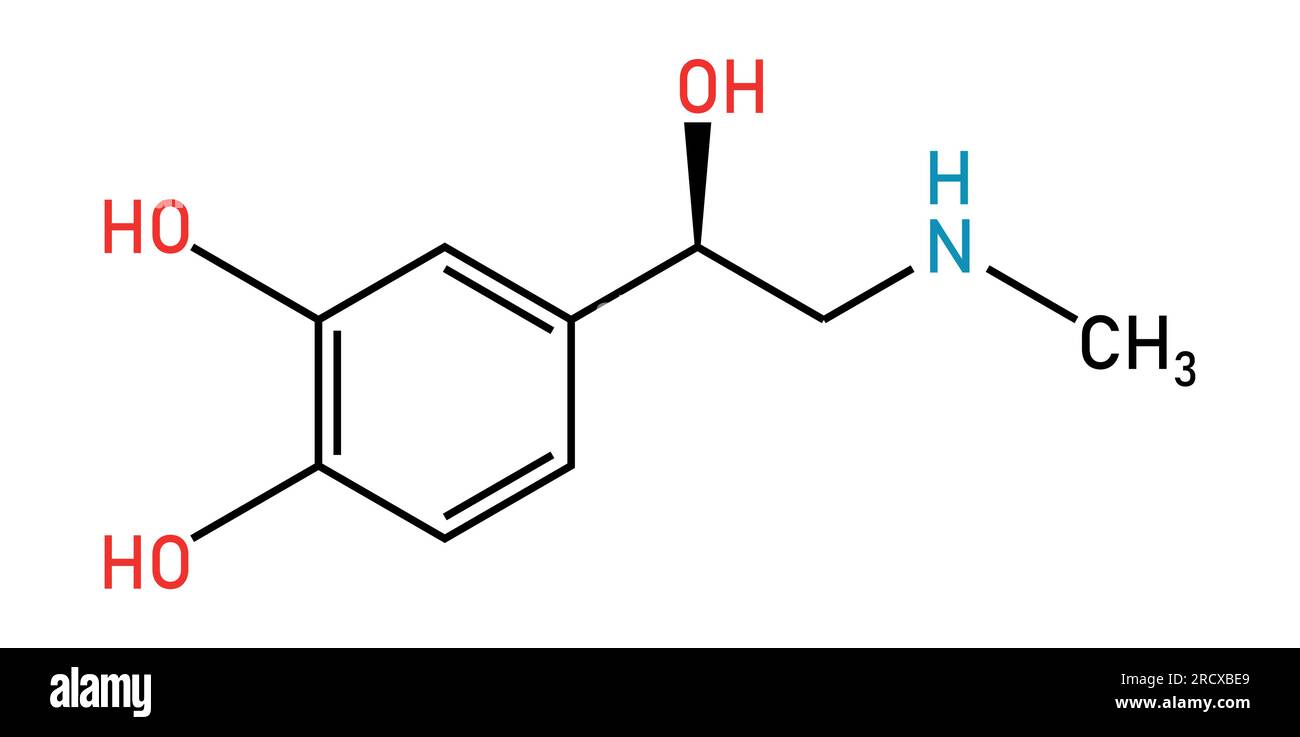 Chemical structure of Adrenaline or epinephrine (C9H13NO3). Chemical