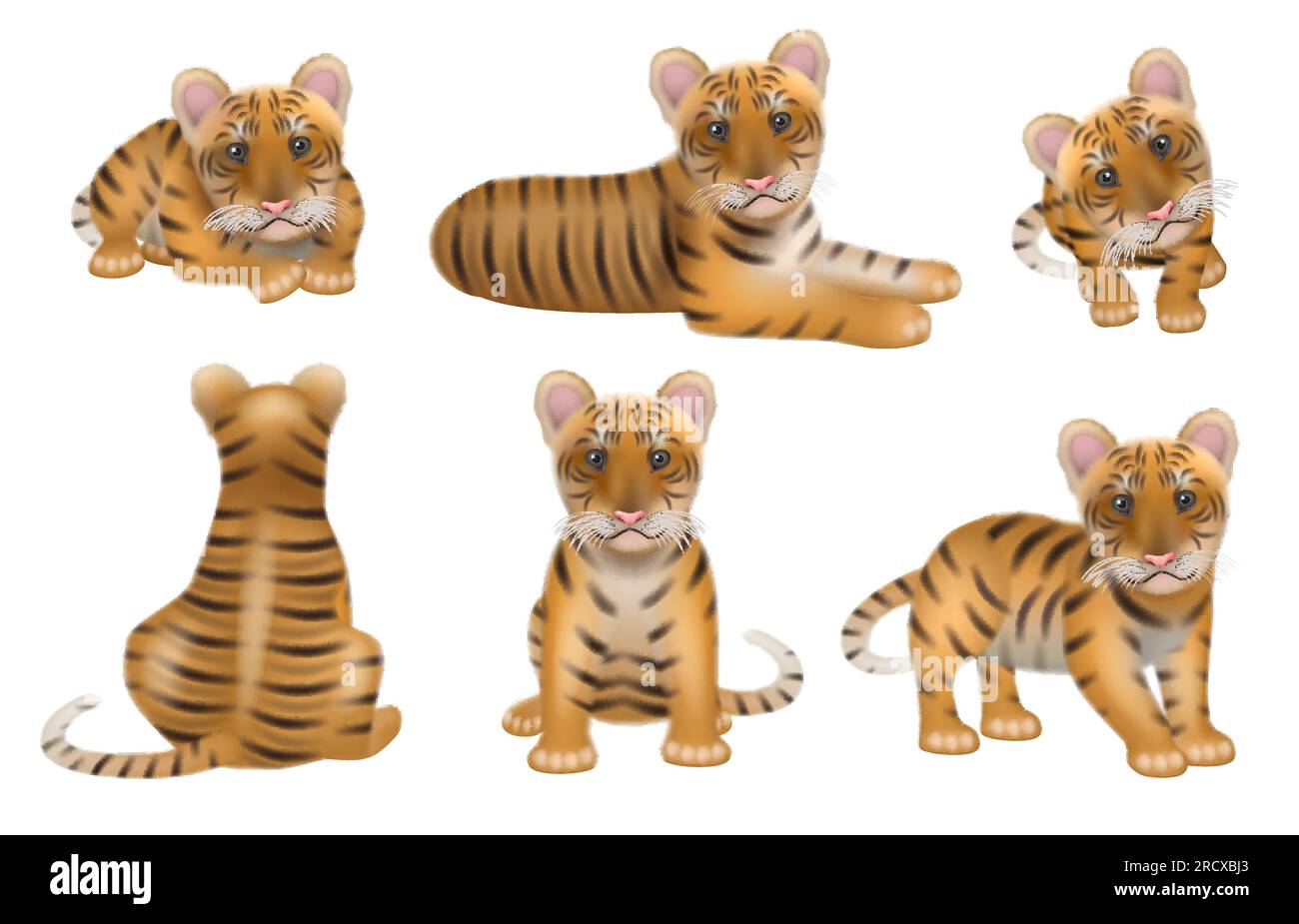 Tiger. Aggressive dangerous wild nature tigers orange big cat decent vector zoo realistic symbols Stock Vector