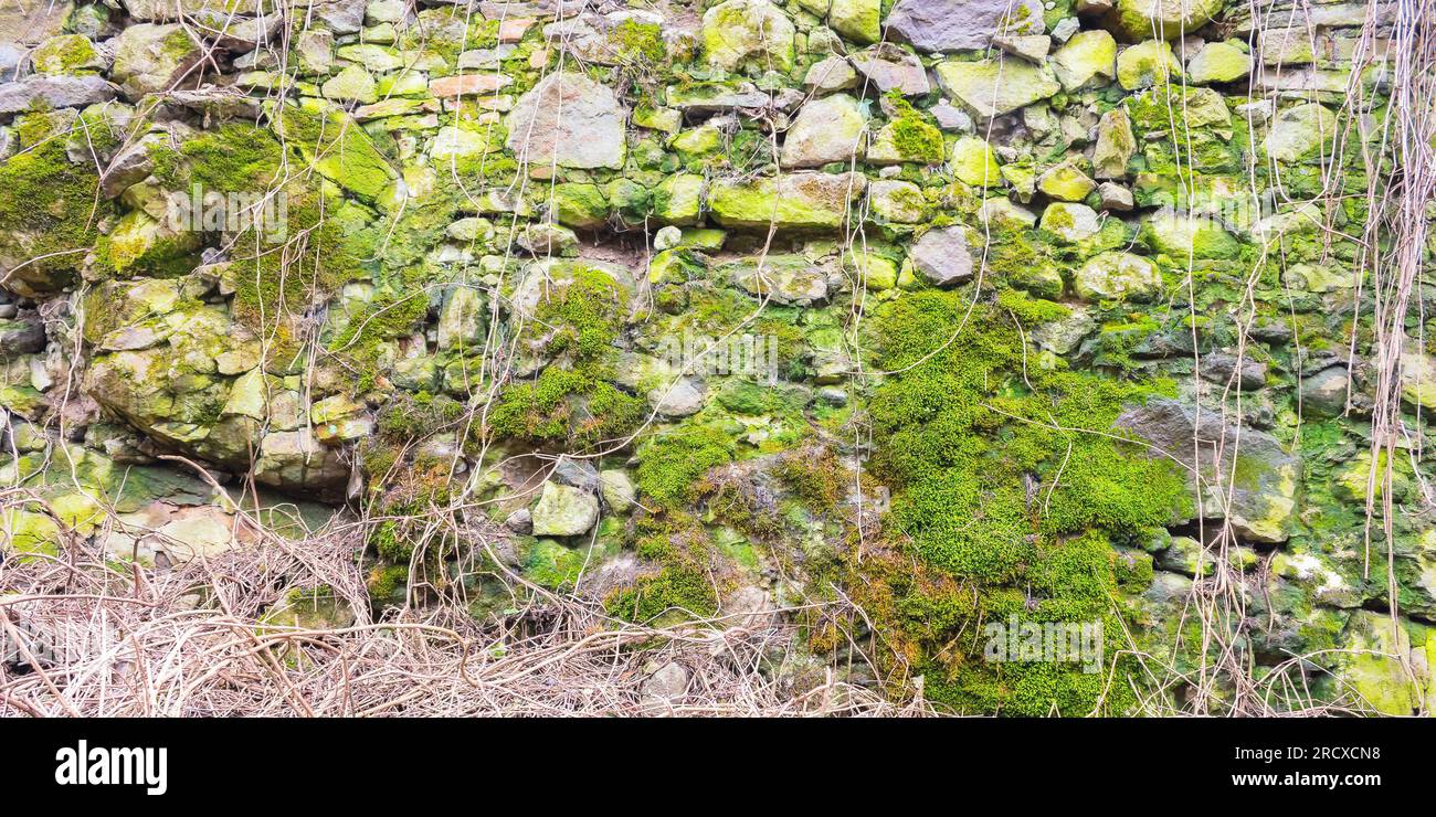 medieval stone masonry. grunge architectural background Stock Photo