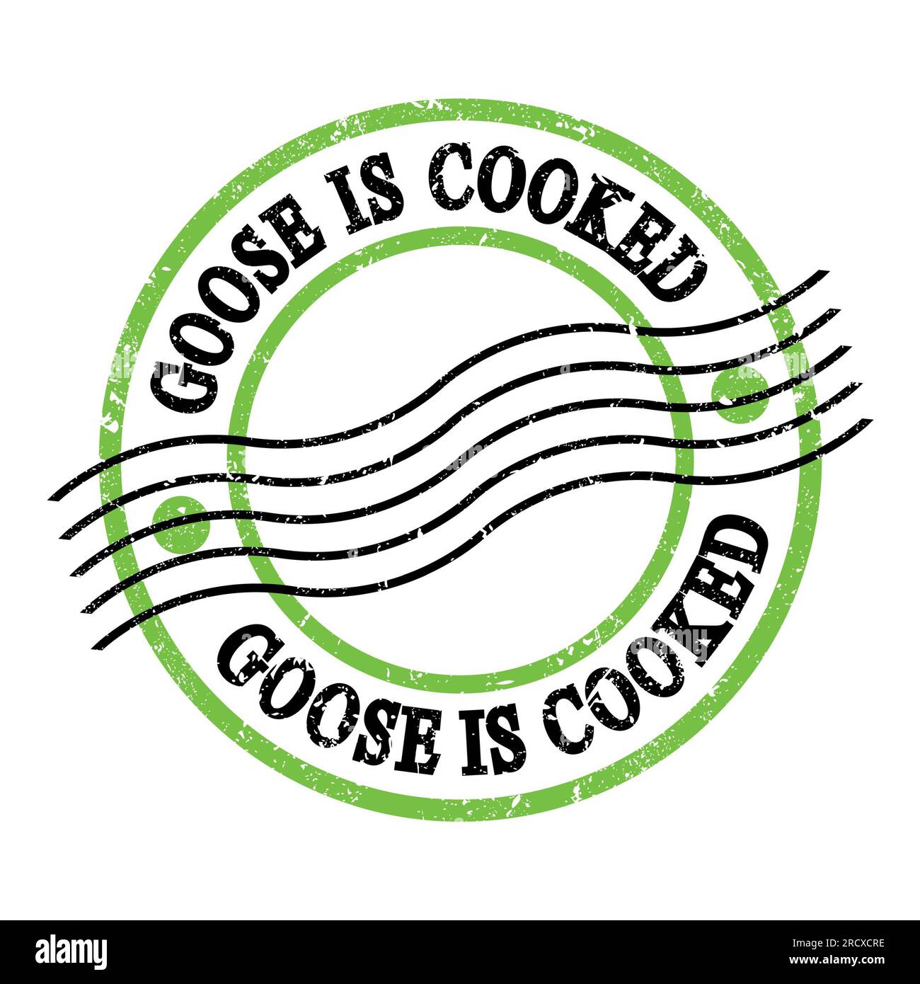 GOOSE IS COOKED, text written on green-black grungy postal stamp. Stock Photo