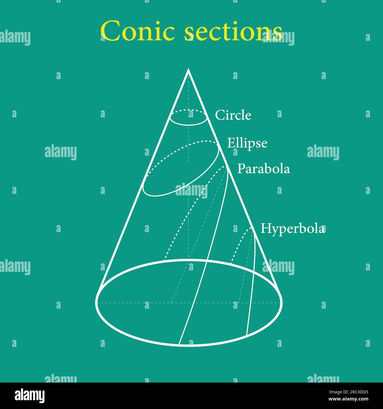 Types of conic sections. Circle, Ellipse, Parabola and Hyperbola. Vector illustration isolated on chalkboard. Stock Vector