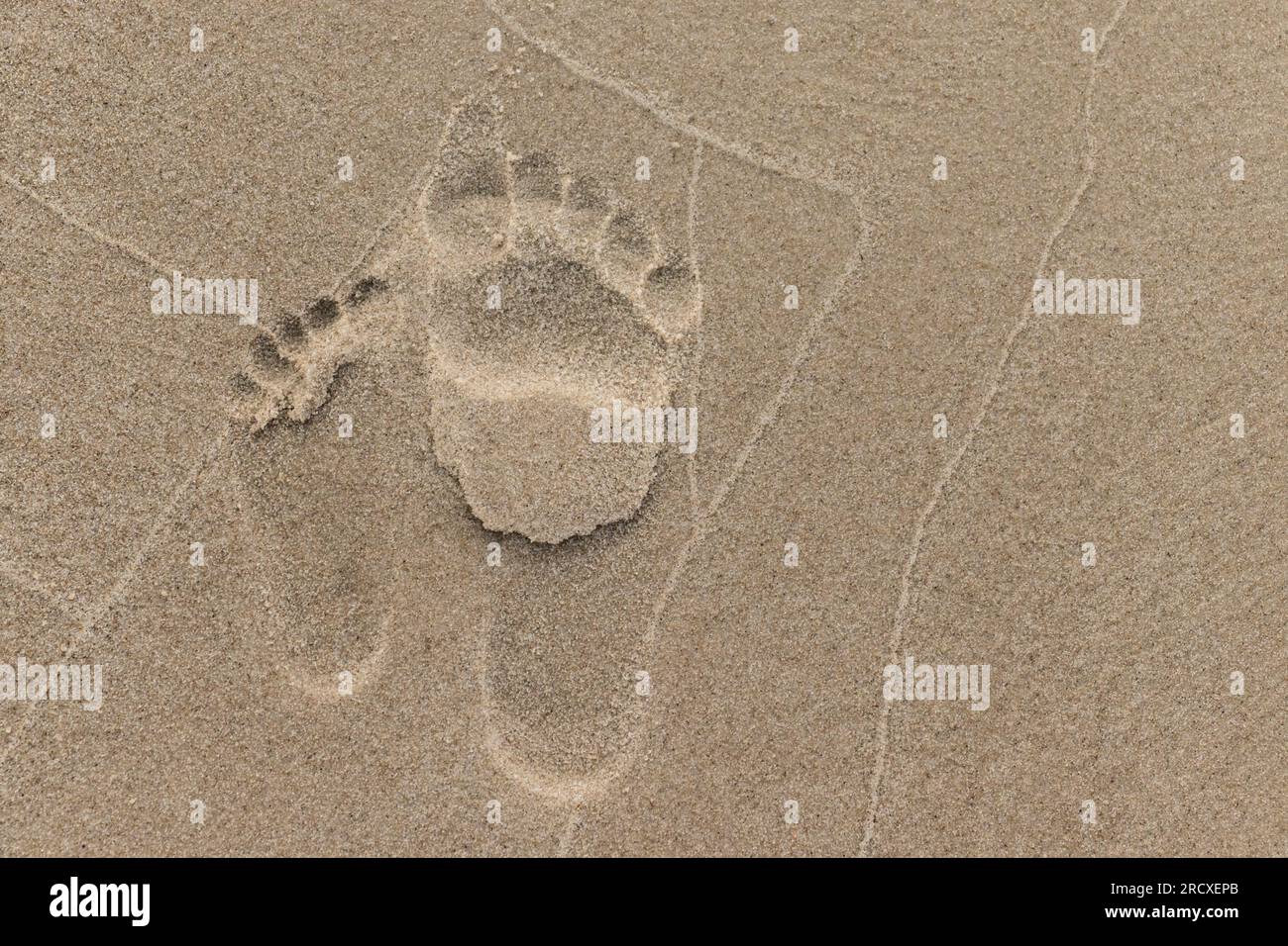 Mother and baby footprints in the sand Stock Photo