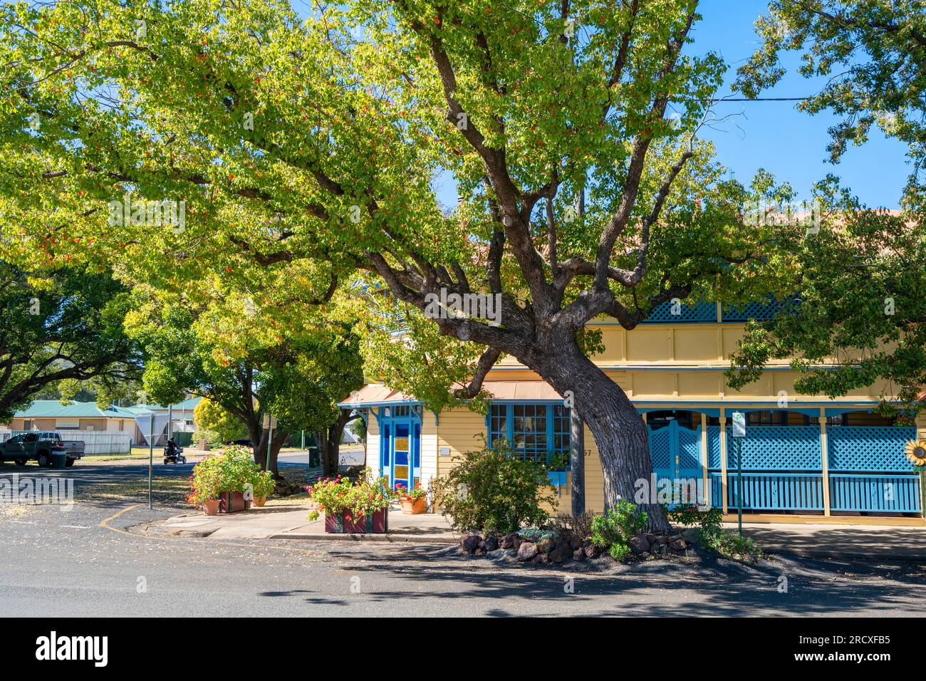 The Blue Cow previously the Royal Hotel, main street, Allora, Queensland, Australia Stock Photo