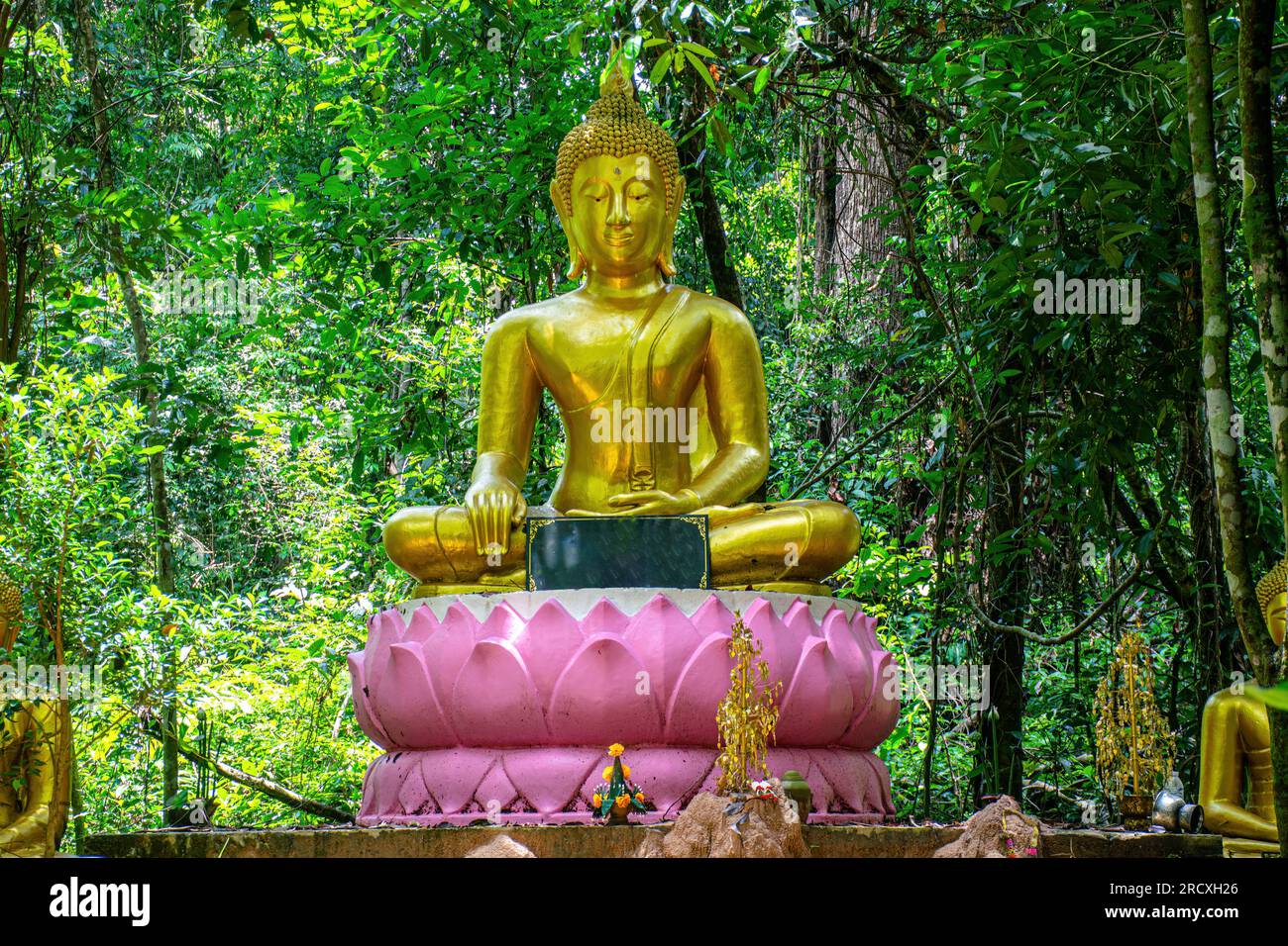 Buddha statue in nature background,beautiful gold color buddha statue,Buddha statue in nature