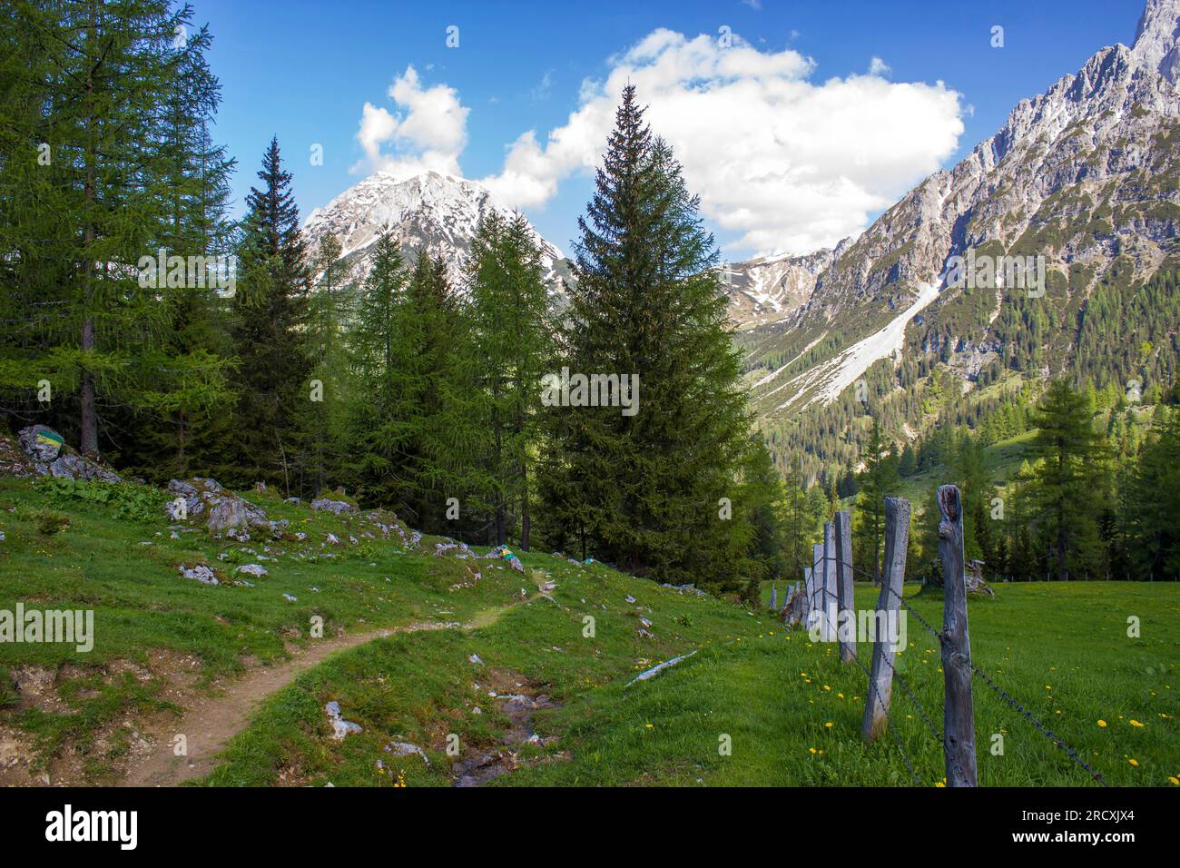 Panorama of massive Alpine mountains. Landscape in the Austrian Alps of ...